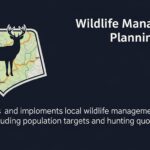 Viltnemnda Explained: Key Roles and Responsibilities in Conservation