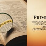 primerem: The Complete Guide to Understanding Its Meaning, Uses, and Growing Popularity